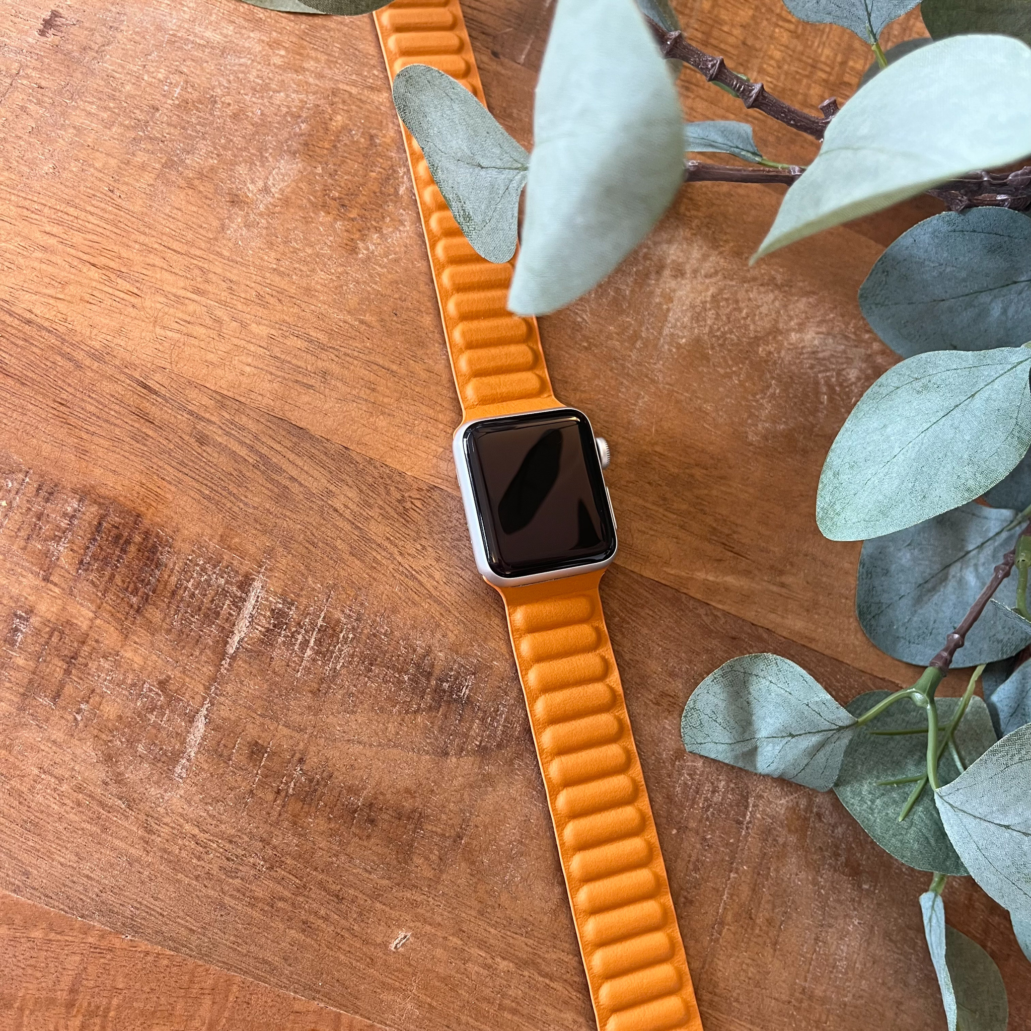 Apple Watch Solo Loop Lederarmband - Kalifornien
