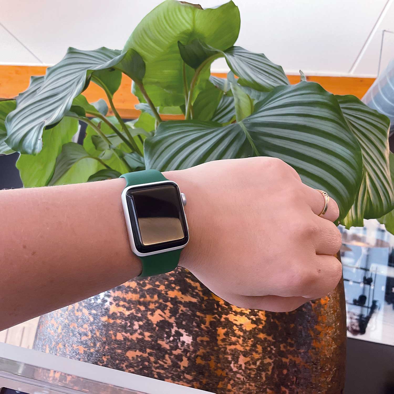 Apple Watch Sportarmband - Klee