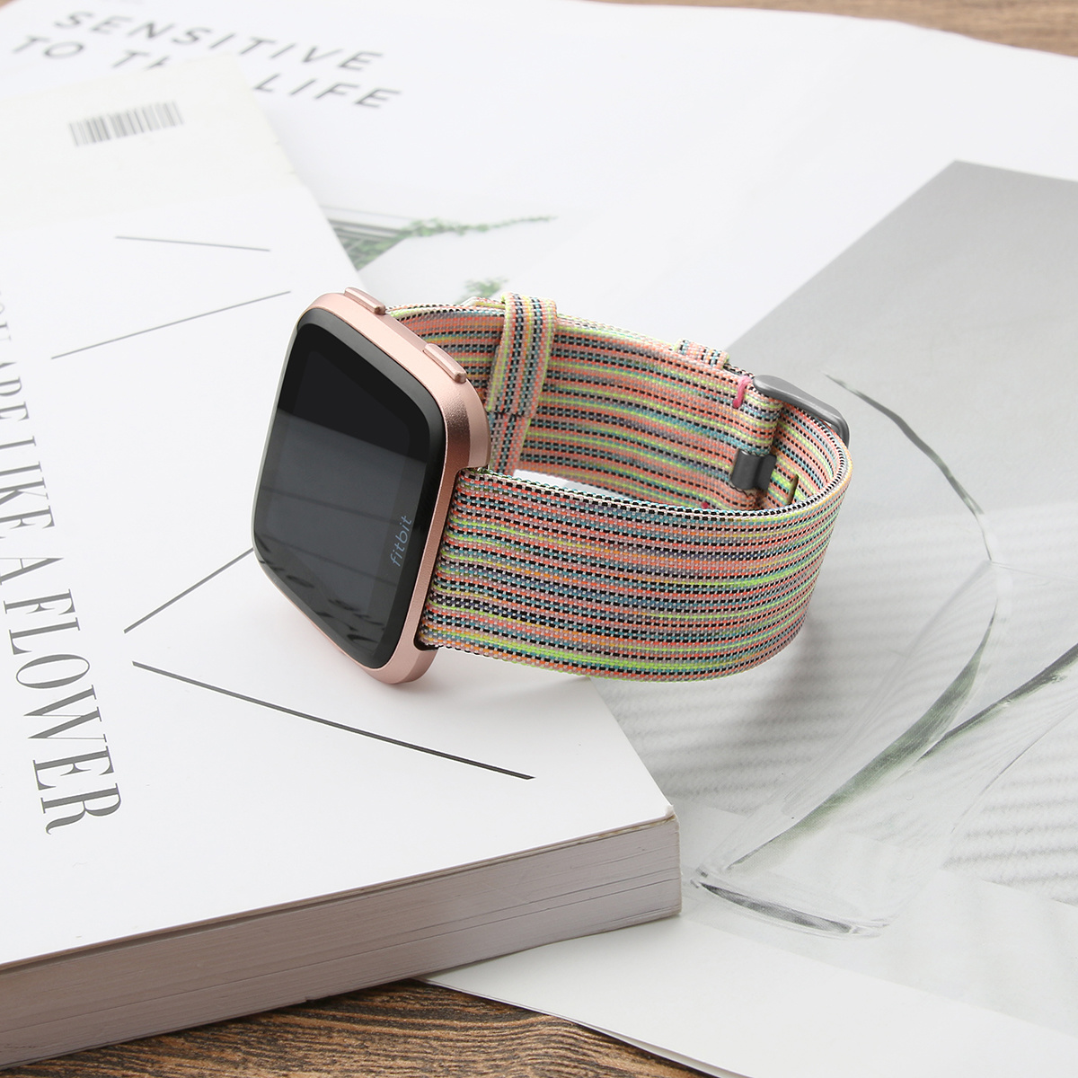 Fitbit Versa Nylon Schnallenband - bunt