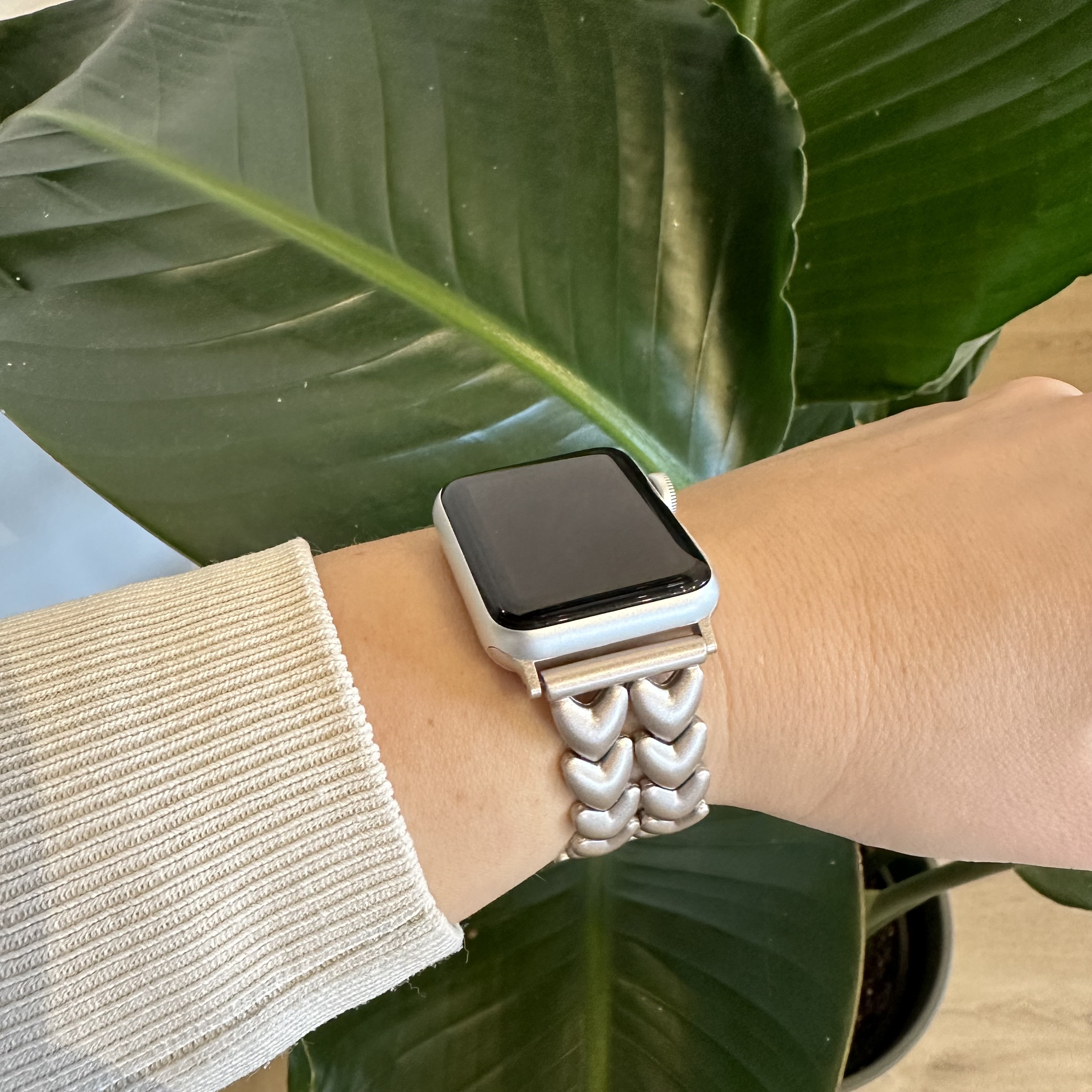 Apple Watch Herz-Stahlgliederarmband – polarstern